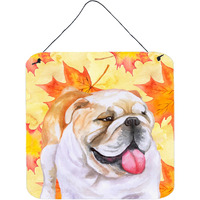 "Caroline's Treasures English Bulldog Metal Print, 6h x 6w, Fall Leaves"