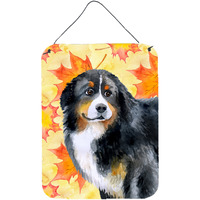 "Caroline's Treasures Bernese Mountain Dog Fall Metal Print, 16"" x 12"", Multicolor"