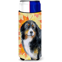 "Caroline's Treasures Bernese Mountain Dog Fall Decorative Can Hugger, Slim, Multicolor"