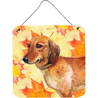 "Caroline's Treasures Dachshund Metal Print, 6h x 6w, Fall Leaves"