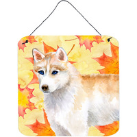 "Caroline's Treasures Siberian Husky Metal Print, 6h x 6w, Fall Leaves"