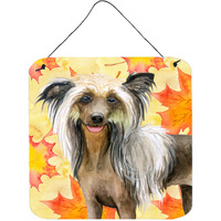 "Caroline's Treasures Chinese Crested Metal Print, 6h x 6w, Fall Leaves"