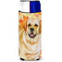 "Caroline's Treasures Golden Retriever Fall Decorative Can Hugger, Slim, Multicolor"