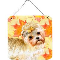 "Caroline's Treasures Morkie Metal Print, 6h x 6w, Fall Leaves"