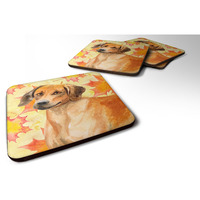 "Caroline's Treasures Rhodesian Ridgeback Fall Decorative coasters, Multicolor"