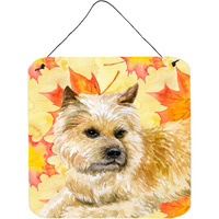 "Caroline's Treasures Cairn Terrier Metal Print, 6h x 6w, Fall Leaves"