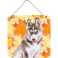 "Caroline's Treasures Siberian Husky Grey Metal Print, 6h x 6w, Fall Leaves"