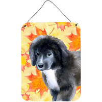 "Caroline's Treasures Newfoundland Puppy Fall Metal Print, 16"" x 12"", Multicolor"