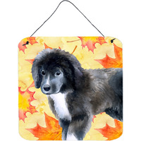 "Caroline's Treasures Newfoundland Puppy Metal Print, 6h x 6w, Fall Leaves"