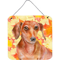 "Caroline's Treasures Red Dachshund Metal Print, 6h x 6w, Fall Leaves"