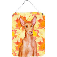 "Caroline's Treasures Pharaoh Hound Fall Metal Print, 16"" x 12"", Multicolor"