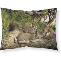 "Caroline's Treasures Rabbit Hole Fabric Standard Pillowcase BDBA0136PILLOWCASE, Multicolor"