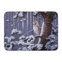 "Caroline's Treasures Owl on a Tree Branch in the Snow, 19"" x 27"", Multicolor"