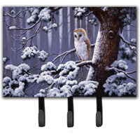 "Caroline's Treasures Owl on a Tree Branch in the Snow Leash or Key Holder BDBA0303TH68, Triple, Multicolor"