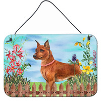 "Caroline's Treasures Miniature Pinscher Spring Metal Print, 8"" x 12"""