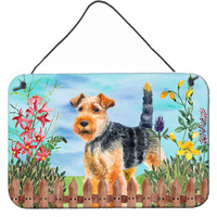 "Caroline's Treasures Welsh Terrier Spring Metal Print, 8"" x 12"", Multicolor"