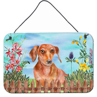 "Caroline's Treasures Red Dachshund Spring Metal Print, 8"" x 12"", Multicolor"