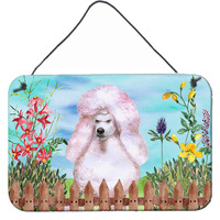 "Caroline's Treasures White Standard Poodle Spring Metal Print, 8"" x 12"""