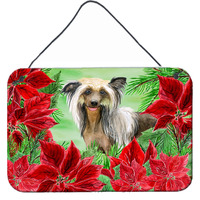 "Caroline's Treasures Chinese Crested Poinsettias Metal Print, 8"" x 12"", Christmas Poinsettas"