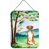 "Caroline's Treasures Under the Tree Boxer Door Hanging Prints wall-decor, Multicolor"