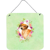 "Caroline's Treasures Rhodesian Ridgeback Green Flowers Door Hanging Prints wall-decor, Multicolor"