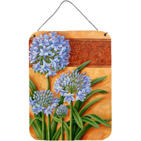 "Caroline's Treasures Agapanthus by Judith Yates Wall or Door Hanging Prints JYJ0072DS1216, 16HX12W, Multicolor"