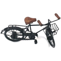 Iron Bicycle, 1 Seat
