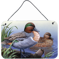 "Caroline's Treasures PTW2057DS812 Green Teal Ducks in the Water Wall or Door Hanging Prints, 8 x 12"", Multicolor"