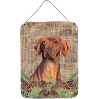 "Caroline's Treasures SC9044DS1216 Vizsla Aluminium Metal Wall or Door Hanging Prints, 16"" x 12"", Multicolor"