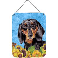 "Caroline's Treasures SC9065DS1216 Dachshund Aluminium Metal Wall or Door Hanging Prints, 16"" x 12"", Multicolor"