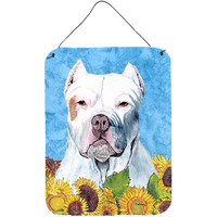 "Caroline's Treasures SC9077DS1216 Pit Bull Aluminium Metal Wall or Door Hanging Prints, 16"" x 12"", Multicolor"