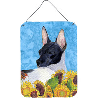 "Caroline's Treasures SS4113DS1216 Rat Terrier Aluminium Metal Wall or Door Hanging Prints, 16"" x 12"", Multicolor"