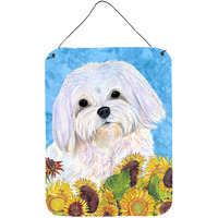 "Caroline's Treasures SS4115DS1216 Maltese Aluminium Metal Wall or Door Hanging Prints, 16"" x 12"", Multicolor"