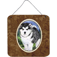 "Caroline's Treasures SS8027DS66 Alaskan Malamute Aluminum Metal Wall or Door Hanging Prints, 6 x 6"", Multicolor"
