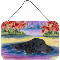 "Caroline's Treasures SS8043DS812 Curly Coated Retriever Indoor Aluminum Metal Wall or Door Hanging Prints, 8 x 12"", Multicolor"