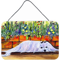 "Caroline's Treasures SS8248DS812 Maltese Indoor Aluminum Metal Wall or Door Hanging Prints, 8 x 12"", Multicolor"