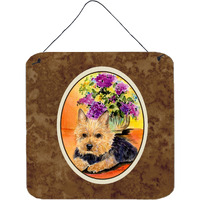 "Caroline's Treasures SS8297DS66 Norwich Terrier Aluminum Metal Wall or Door Hanging Prints, 6 x 6"", Multicolor"