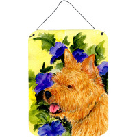 "Caroline's Treasures SS8421DS1216 Norwich Terrier Aluminium Metal Wall or Door Hanging Prints, 16"" x 12"", Multicolor"