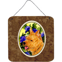 "Caroline's Treasures SS8421DS66 Norwich Terrier Aluminum Metal Wall or Door Hanging Prints, 6 x 6"", Multicolor"