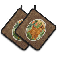 "Caroline's Treasures Irish Setter Pair of Pot Holders SS8625PTHD, 7.5HX7.5W, Multicolor"