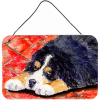 "Caroline's Treasures SS8842DS812 Bernese Mountain Dog Indoor Aluminum Metal Wall or Door Hanging Prints, 8 x 12"", Multicolor"
