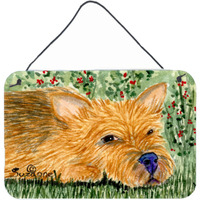 "Caroline's Treasures SS8862DS812 Norwich Terrier Indoor Aluminum Metal Wall or Door Hanging Prints, 8 x 12"", Multicolor"
