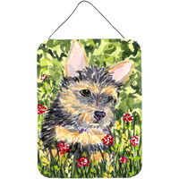 "Caroline's Treasures SS8893DS1216 Norwich Terrier Aluminium Metal Wall or Door Hanging Prints, 16"" x 12"", Multicolor"