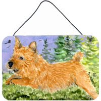"Caroline's Treasures SS8910DS812 Norwich Terrier Indoor Aluminum Metal Wall or Door Hanging Prints, 8 x 12"", Multicolor"