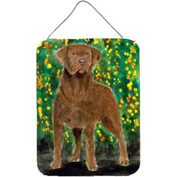 "Caroline's Treasures SS8969DS1216 Chesapeake Bay Retriever Aluminium Metal Wall or Door Hanging Prints, 16"" x 12"", Multicolor"