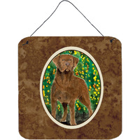 "Caroline's Treasures SS8969DS66 Chesapeake Bay Retriever Aluminum Metal Wall or Door Hanging Prints, 6 x 6"", Multicolor"