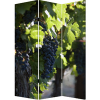 Screen Gems WINE COUNTRY SCREEN SG-151