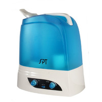 Dual mist humidifier with Ion exchange filter