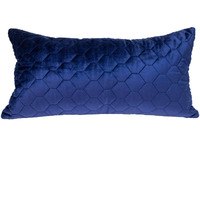 Parkland Collection Bazyli Transitional Blue Throw Pillow