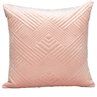 Parkland Collection Gaia Transitional Pink Throw Pillow